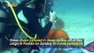 Deep Sea Divers Carve Pumpkins Underwater for Halloween This Year