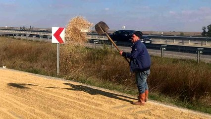 Duble yol köylülerin çeltik kurutma sahası oldu