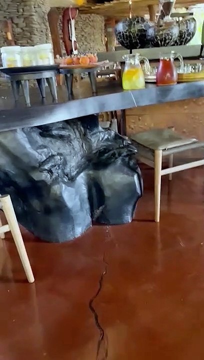 Leopard Prowls Through Lodge