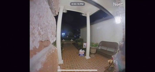 Front Door Farts on Doorbell Camera