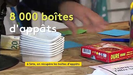 À Sète, une pêche plus écologique grâce à un système de consigne