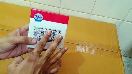 Unboxing and Review of Crystal Glass Turtle Tortoise with Pond Pot for Good Luck