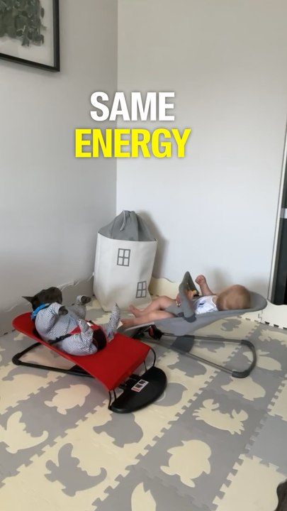 SAME ENERGY