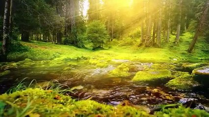 Relaxing Music Beautiful Piano Music, Background Music, Sleep Music