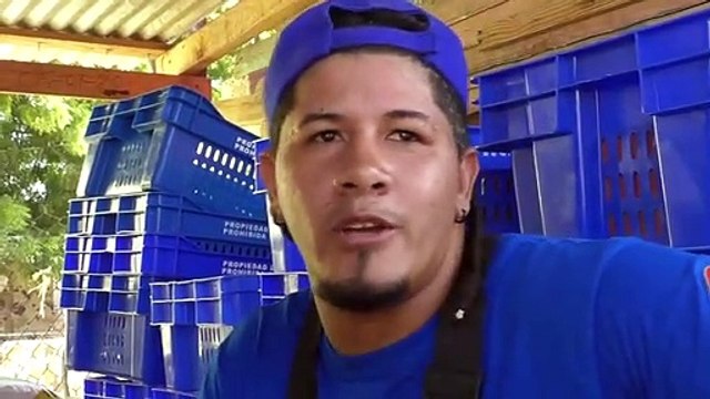 Mercado binacional, nulo en Pedernales por ausencia de haitianos