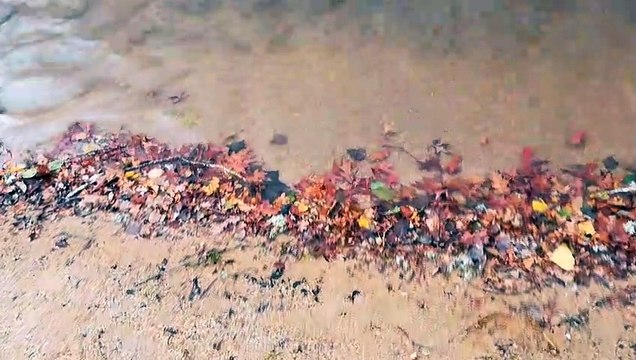 Baignade à la fraîche à Chatelus-Malvaleix