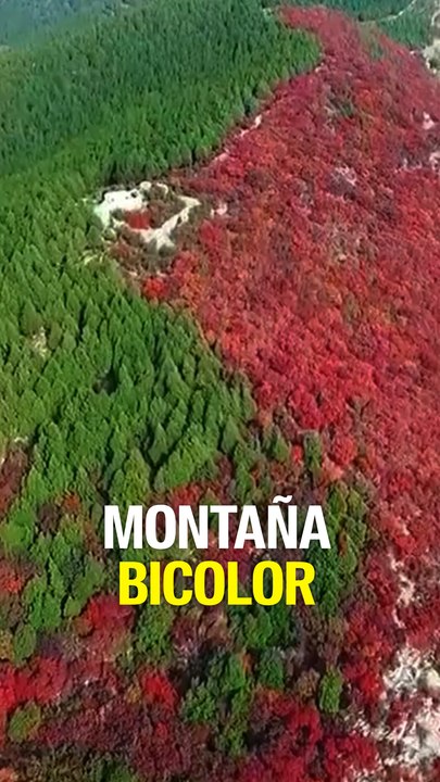 Montaña bicolor