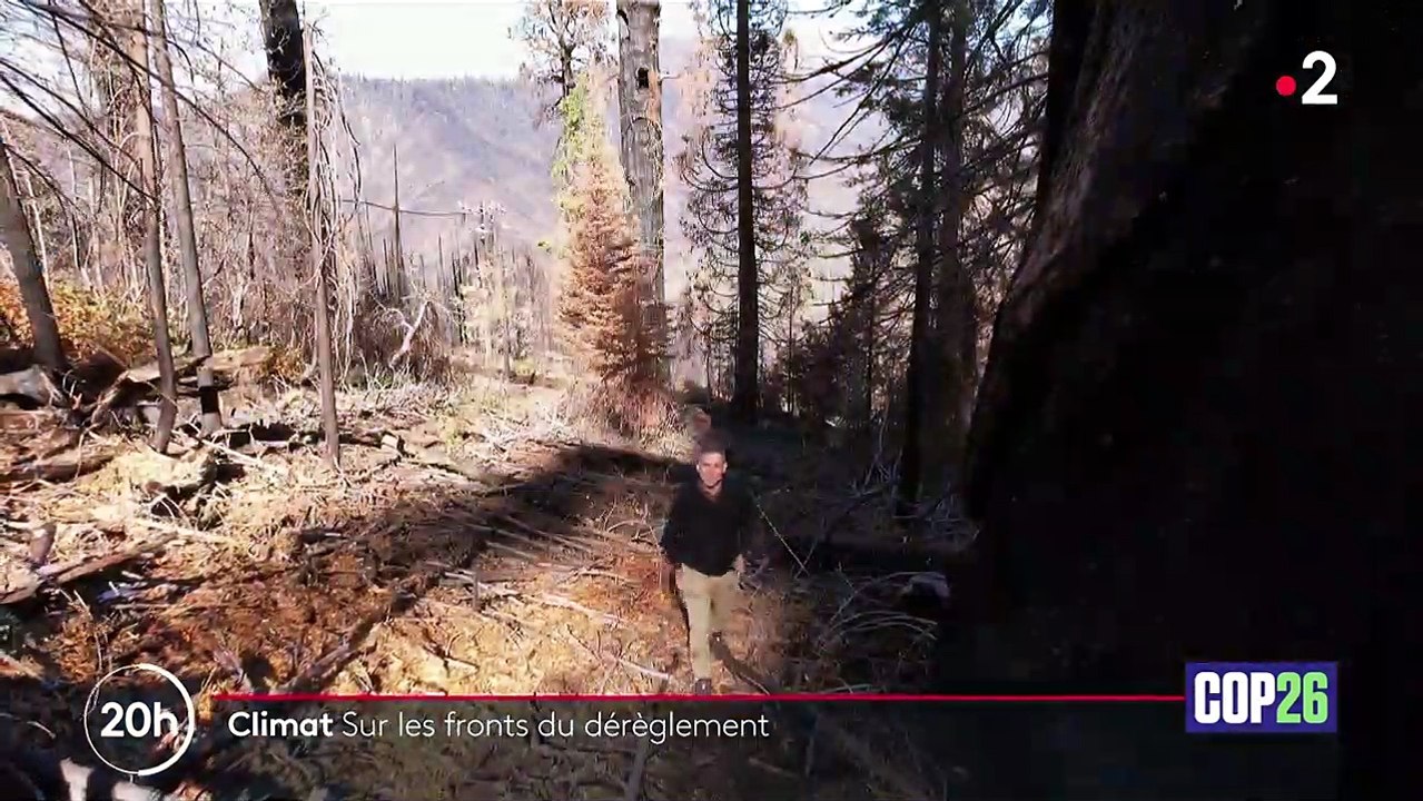 COP26 : feux de forêt, dégel, montée des eaux... Les conséquences mondiales du dérèglement climatique
