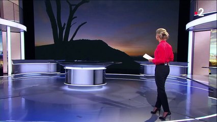 Au Kenya, un sanctuaire accueille des éléphanteaux orphelins