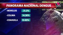 Disminuyen casos de dengue en Jalisco