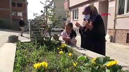 Yol ortasında 'sır mezar'