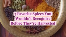 7 Favorite Spices You Wouldn't Recognize Before They're Harvested