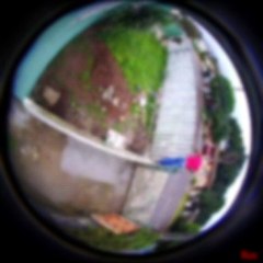 Ladrão atrapalhado cai antes de furtar bicicleta; veja