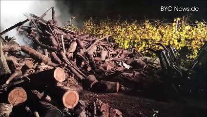 Großer Feuerwehreinsatz zwischen Ingelheim und Wackernheim 🚒