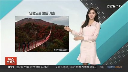 [날씨톡톡] '옴브레로 염색한 단풍'…일교차 계속