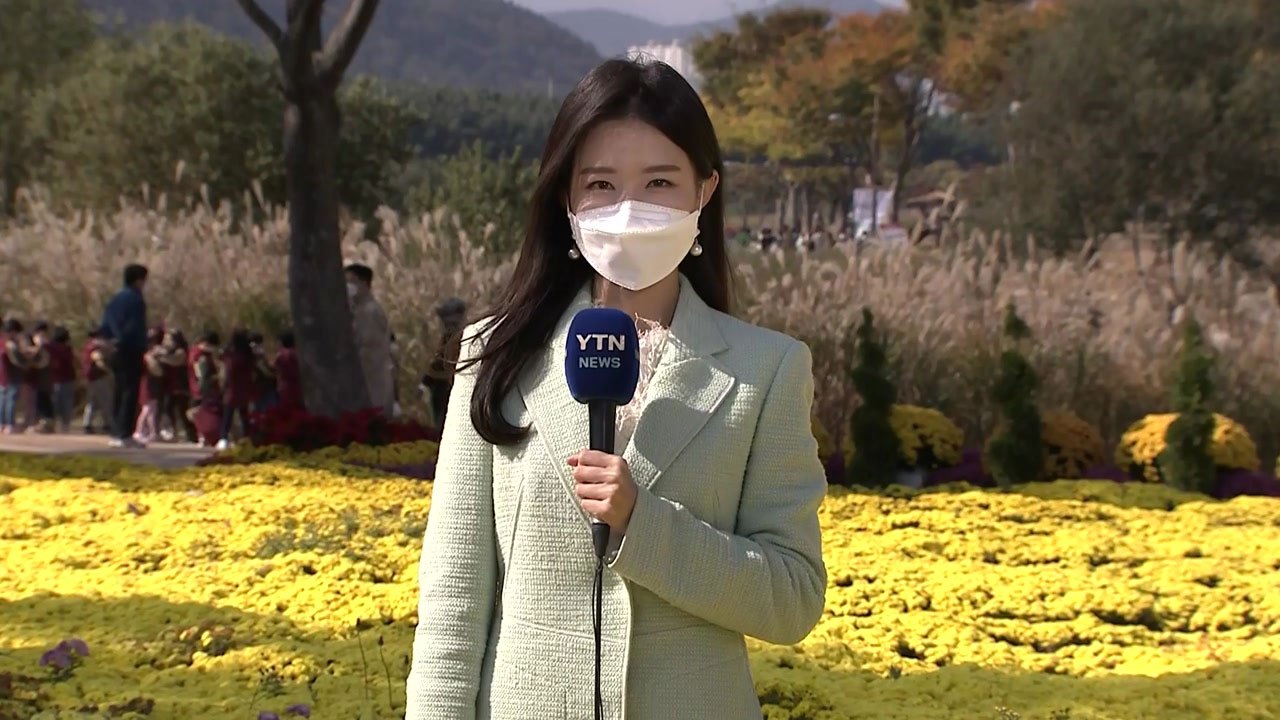 [날씨] 완연한 가을...국화향 가득한 울산 국가정원 / YTN