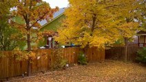 November kicks off in Colorado with the first snow of the season