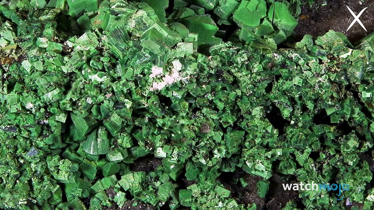 ¡Top 10 Descubrimientos Científicos ACCIDENTALES!