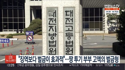 "징역보다 벌금이 효과적"…땅투기 부부 고액의 벌금형