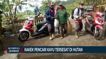 Kakek Pencari Kayu Tersesat di Hutan Lereng Gunung Semeru