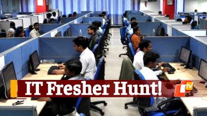 Great Indian IT Fresher Hunt: What TCS, Infosys, Wipro, HCL Have Said So Far