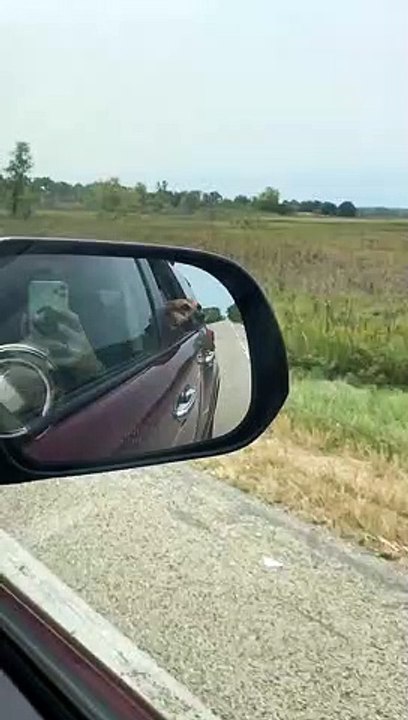 Doggy Enjoys Breeze Blowing Through His Cheeks