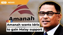 Amanah willing to sacrifice PH’s long-term fate for its own short-term gains, says analyst