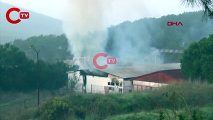 Maltepe'de atık kağıt deposunda yangın