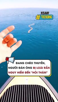 Đang chèo thuyền, người đàn ông bị loài rắn nguy hiểm đến 'hỏi thăm'