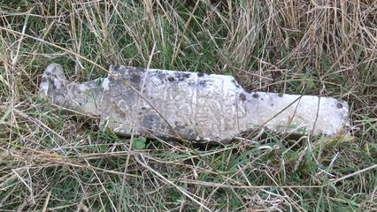 HAFRİYAT VE OTLARIN ARASINDA KALAN TARİHİ MEZARLIKTA DEFİNECİ TALANI