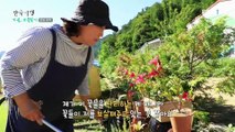 한국기행 - Korea travel_가을, 보물찾기 2부- 가을, 사는 동안 꽃처럼_#002
