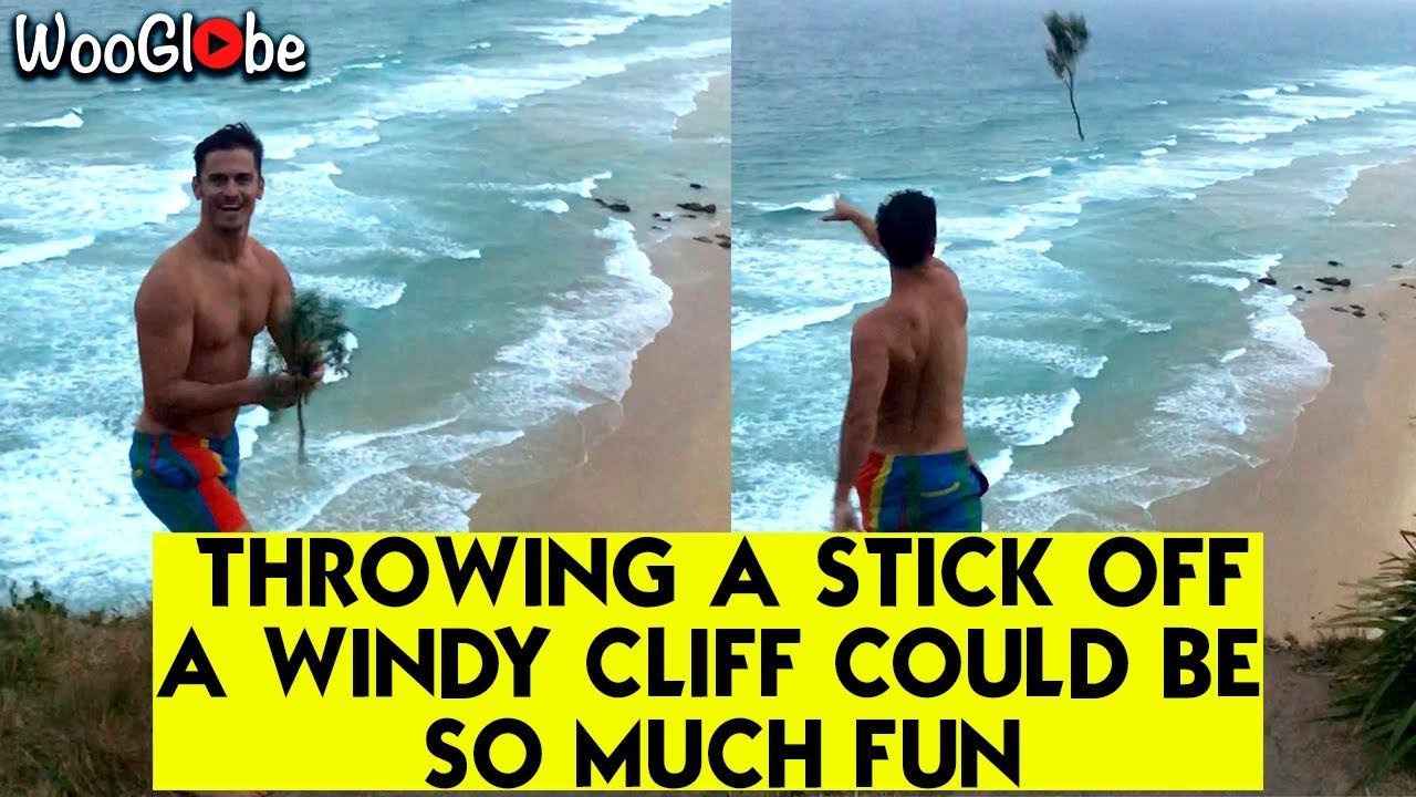 'Who knew that throwing a stick off a cliff could be so much fun?!'