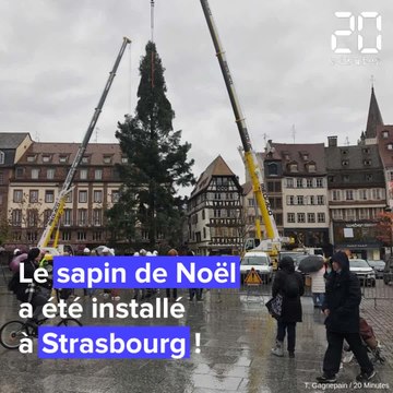 Strasbourg: Le sapin de Noël a été installé!
