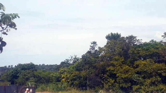 Boeing 737 MAX 8 PR-XMP na aproximação final antes de pousar em Manaus vindo de Fortaleza
