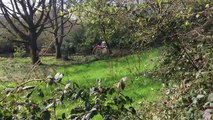 Watch the moment a tractor driver runs down his neighbour in Churt (WARNING_ CONTAINS SWEARING)