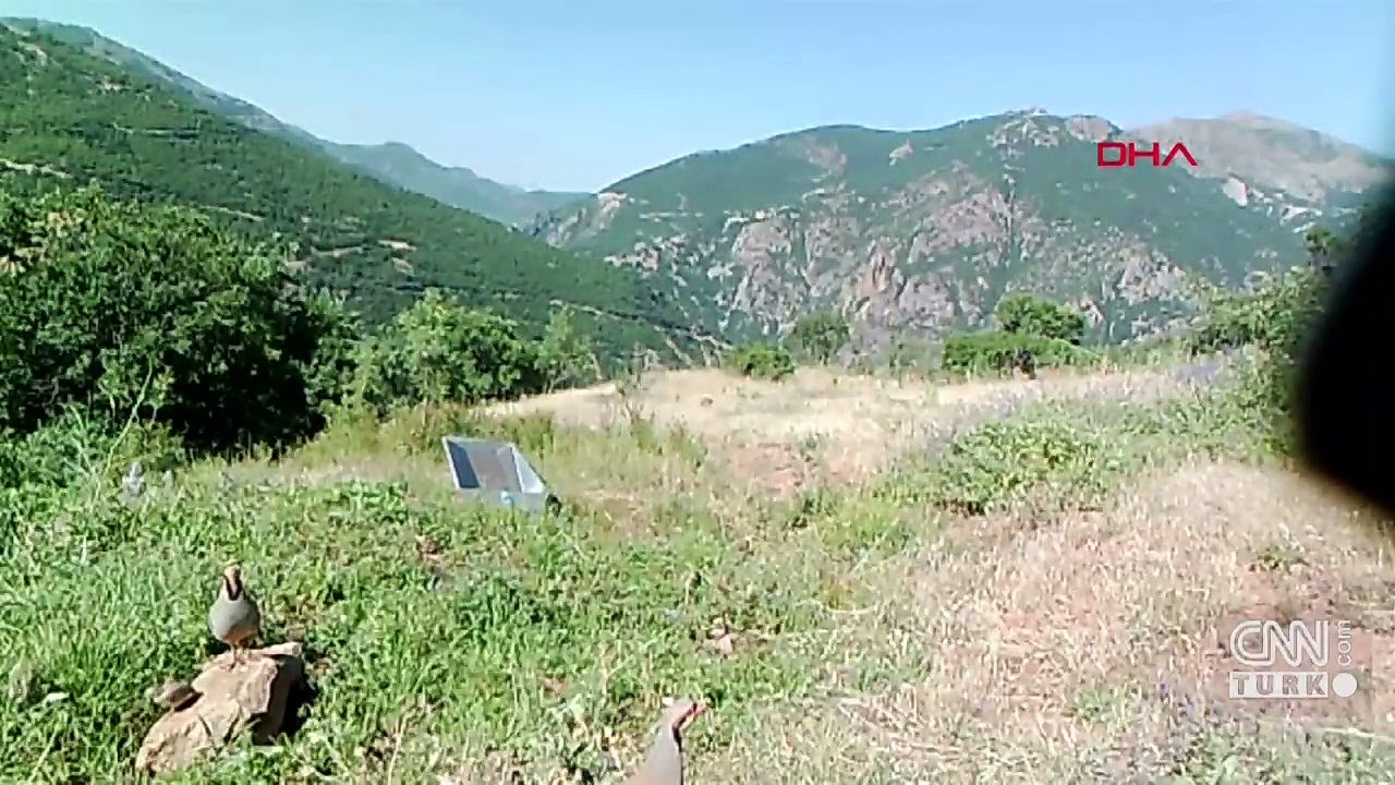 Avcılık kisvesi altında katliam!