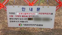 천안 야생조류에서 고병원성 AI 검출...농가 방역 '비상' / YTN