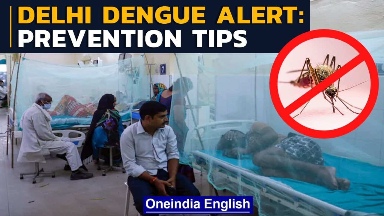 Delhi dengue alert: Prevention tips against mos...
