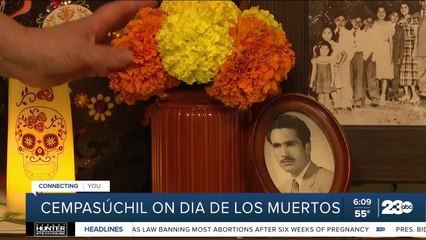 A look at why the marigold, or cempasúchil, is the traditional flower of the dead