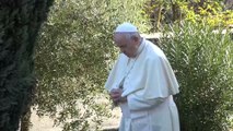 El Papa reza por los caídos y critica las armas y las situaciones políticas 