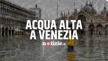 Acqua alta a Venezia, attivato il Mose: picco di 135 centimetri e piazza San Marco allagata