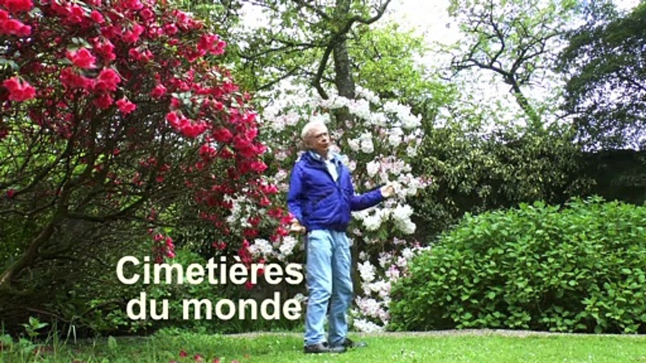 Tourisme : cimetières du monde