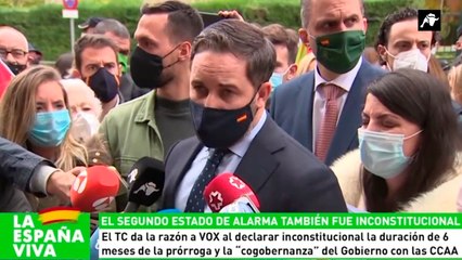 VOX se queda solo en la defensa de la Constitución