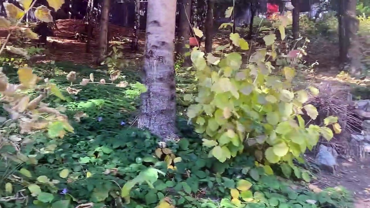 Maya si Antonyo viziteaza Alpin Magic Land din Poiana Brasov !