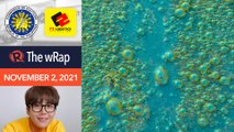 Evening wRap, November 2, 2021