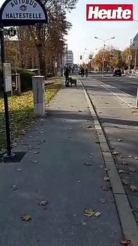 Wiener führt Ziegen an Leine in der Stadt Gassi