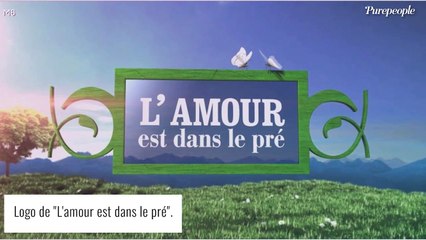 L'amour est dans le pré : un couple star spoile une partie du bilan de l'émission