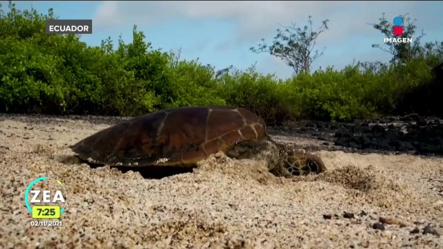 Ecuador ampliará la reserva marina de las Islas Galápagos
