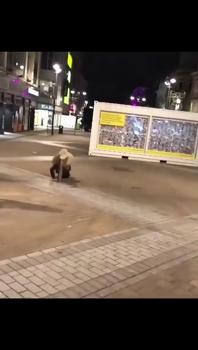 #funny street accident 