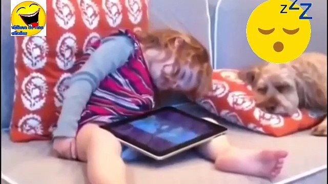 Videos muy chistosos ycaseros para morirse de risa| videos de perros chistosos y gatos chistosos